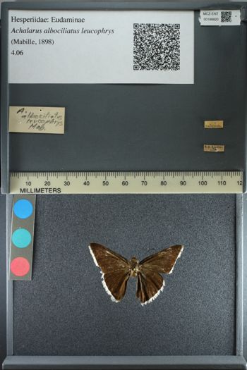 Media type: image;   Entomology 188820